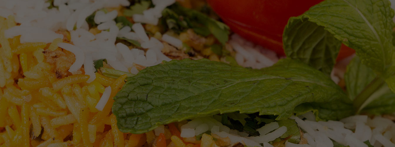 Tandoori Bistro source food image